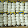 High Quality Chinese Pure White Garlic